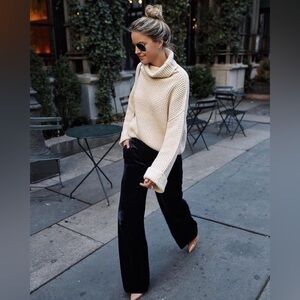 Eliza J Black Velvet Wide Leg Pants Trousers High Waist Palazzo Chic Size 8
